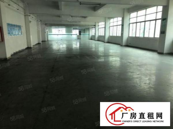  大朗富民工业城标准厂房690平低价出租9成新形象大气