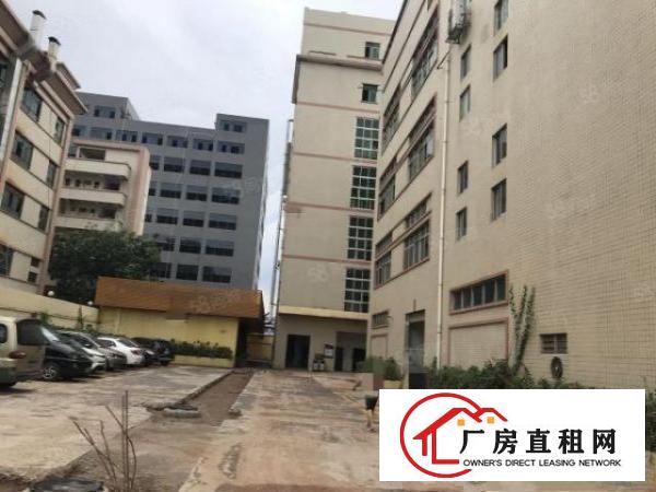  大朗镇洋乌九成新标准厂房840平出租全新地坪漆