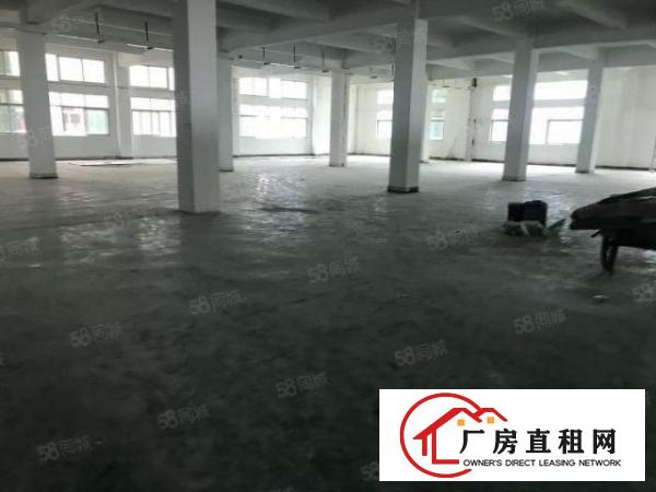  大朗镇洋乌九成新标准厂房840平出租全新地坪漆