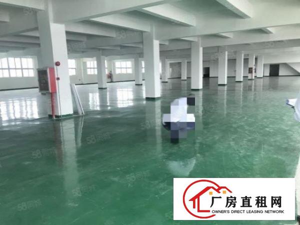  大朗镇洋乌九成新标准厂房840平出租全新地坪漆