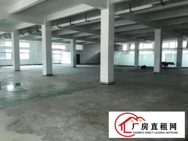  大朗镇洋乌九成新标准厂房840平出租全新地坪漆