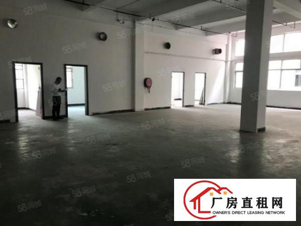  大朗镇洋乌九成新标准厂房840平出租全新地坪漆