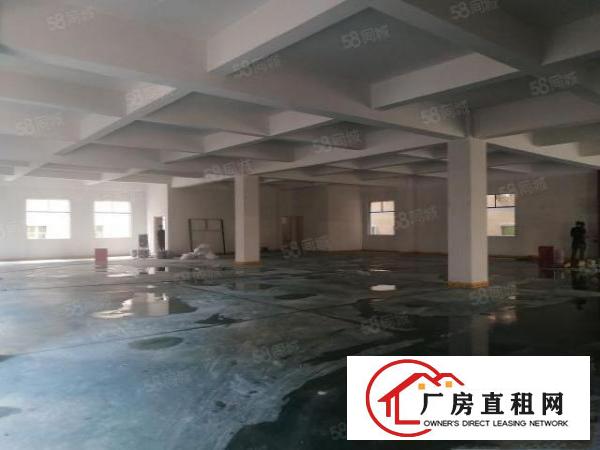  大朗靠近松山湖经典独院全新工业厂房6550方出租，可办环评！