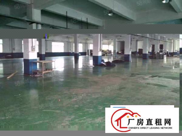  大朗镇沙步工业区豪华装修办公室二楼1300平方，拎包生产