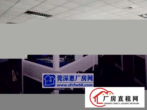  大朗镇沙步工业区豪华装修办公室二楼1300平方，拎包生产