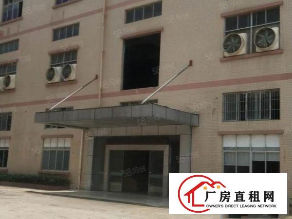  大朗新出2套独门独院标准厂房共15600平方，带牛角，可分租