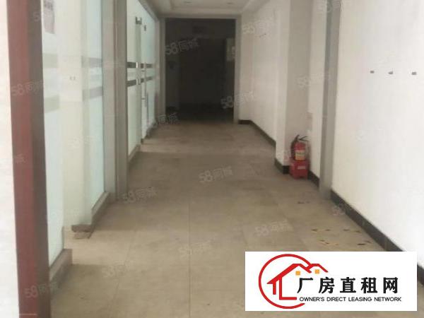  大朗新出2套独门独院标准厂房共15600平方，带牛角，可分租