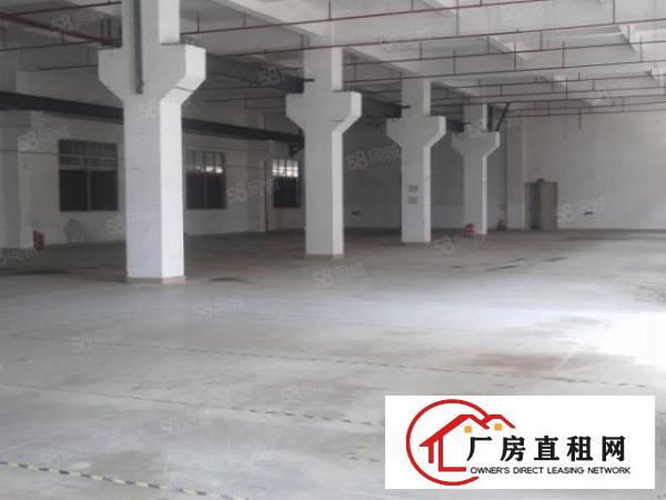  大朗新出2套独门独院标准厂房共15600平方，带牛角，可分租