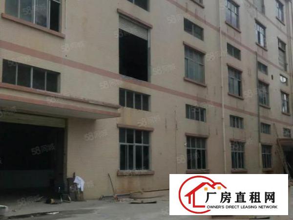  大朗新出2套独门独院标准厂房共15600平方，带牛角，可分租