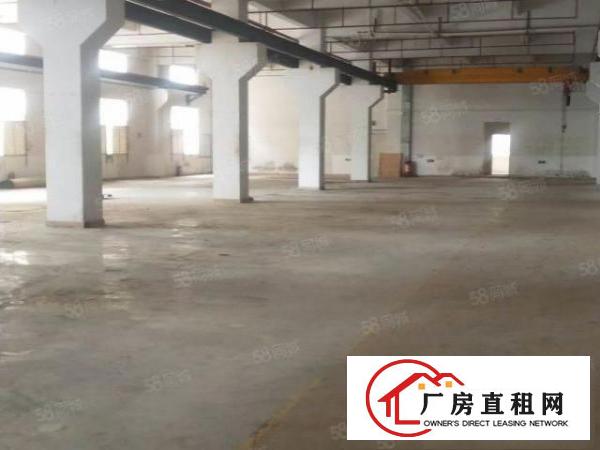  大朗新出2套独门独院标准厂房共15600平方，带牛角，可分租
