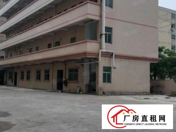  大朗新出2套独门独院标准厂房共15600平方，带牛角，可分租