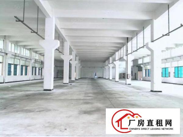  大朗镇象山工业城独院标准厂房总面积6500平方