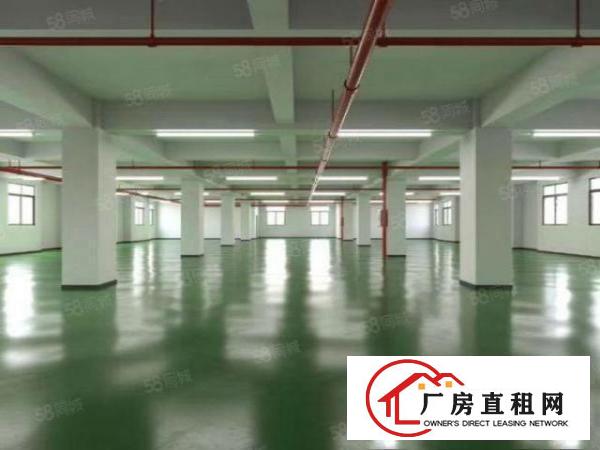  （园区直租）临深片区的产业园红本国有产权工业厂房无中介费