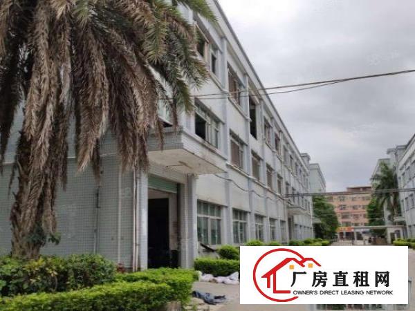  高速出口原房东独院,20000平米可分租水电齐全