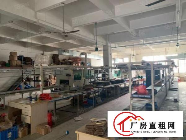  原房东一楼标准工业厂房出租带现成办公室水电齐全空地大