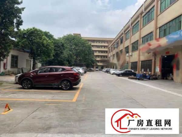  原房东一楼标准工业厂房出租带现成办公室水电齐全空地大