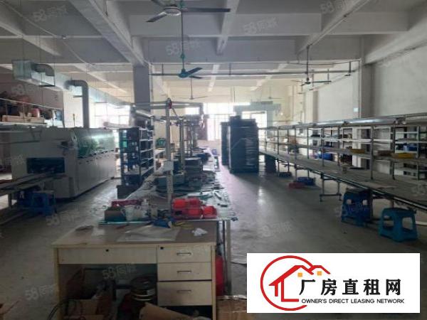  原房东一楼标准工业厂房出租带现成办公室水电齐全空地大