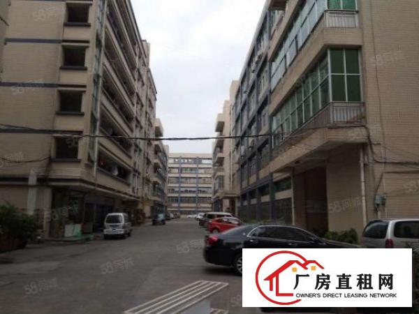  大朗新马莲新出楼上1200平米工业区厂房出租