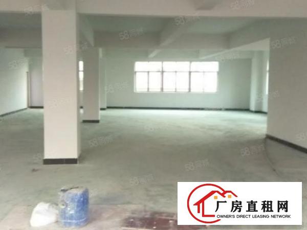  原房东，大朗新出独栋厂房1680平，有电梯，空地充足，可分租