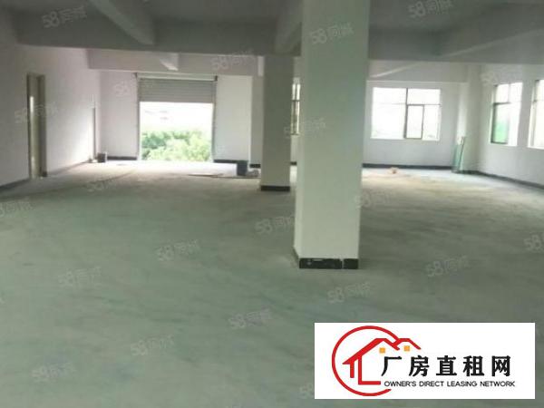  原房东，大朗新出独栋厂房1680平，有电梯，空地充足，可分租