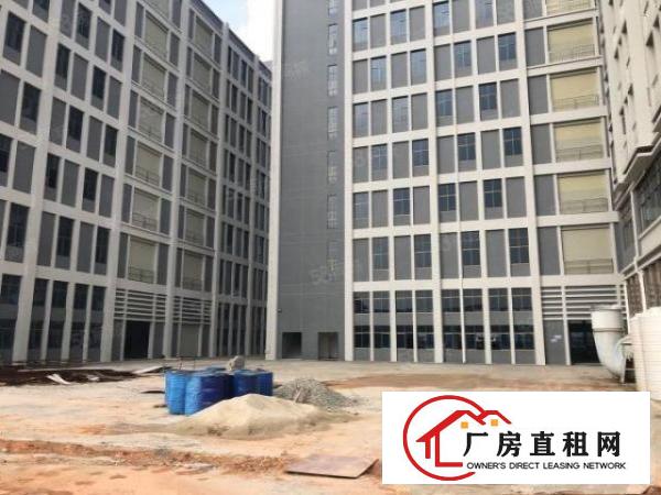  大朗水口新建全新独栋标准厂房12400平出租大小可分租