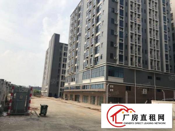  大朗水口新建全新独栋标准厂房12400平出租大小可分租