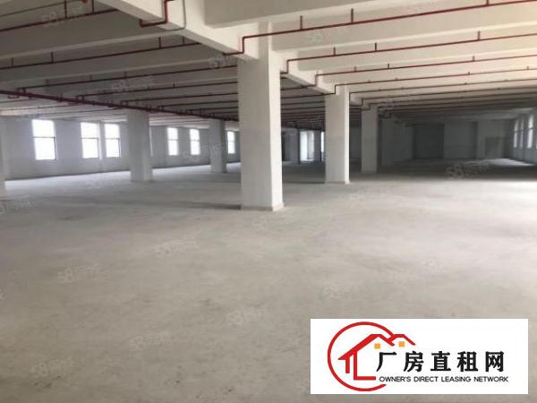  大朗水口新建全新独栋标准厂房12400平出租大小可分租