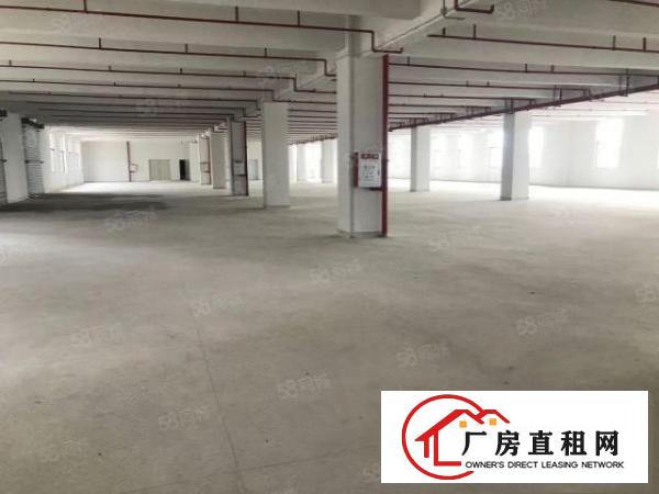  大朗水口新建全新独栋标准厂房12400平出租大小可分租