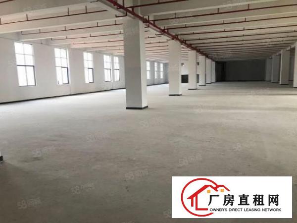  大朗水口新建全新独栋标准厂房12400平出租大小可分租