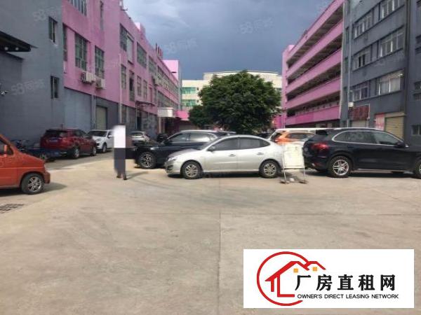  大朗巷尾标准厂房二楼700平出租厂房形象好光线充足