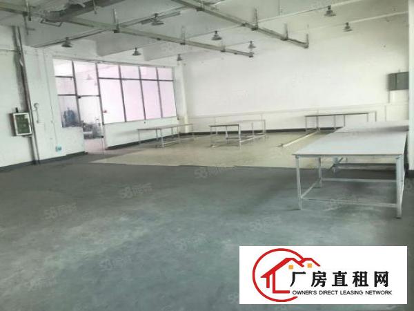  大朗巷尾标准厂房二楼700平出租厂房形象好光线充足