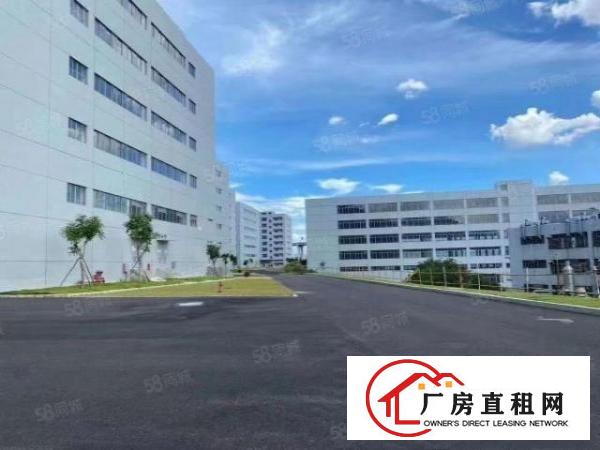 原房东超大空地独栋