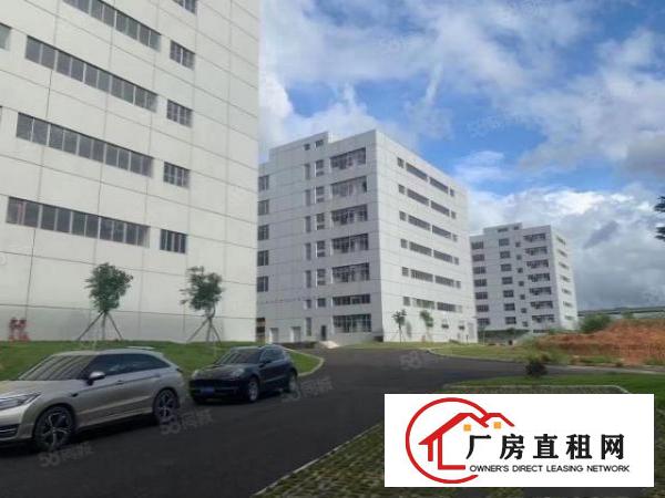  原房东超大空地独栋