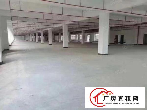  原房东超大空地独栋