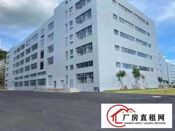  原房东超大空地独栋