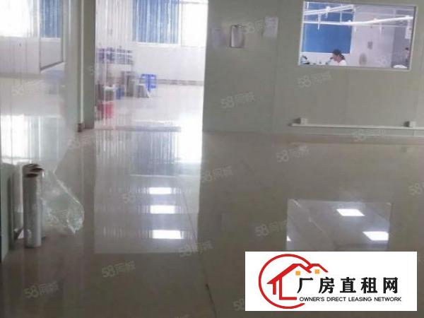  7000打包价，大朗新出楼上厂房500平，带现成装修拎包入驻