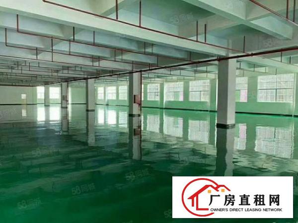  清盘清盘大朗洋乌独院楼上700方带装修厂房只需9元