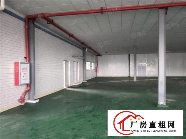  原房东价格12元大朗沙步工业区空出三楼600，带装修地坪漆