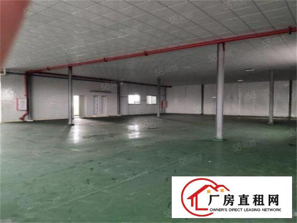  原房东价格12元大朗沙步工业区空出三楼600，带装修地坪漆