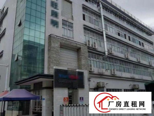  一楼15块三天必租大朗黄草朗新出原房东1650平厂房实际面积