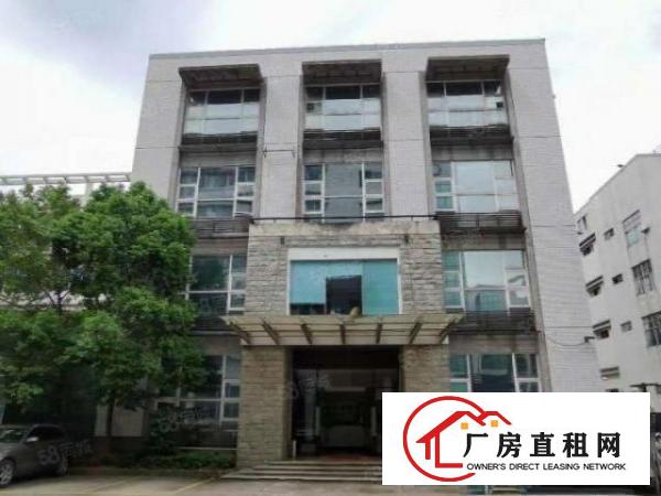  一楼15块三天必租大朗黄草朗新出原房东1650平厂房实际面积