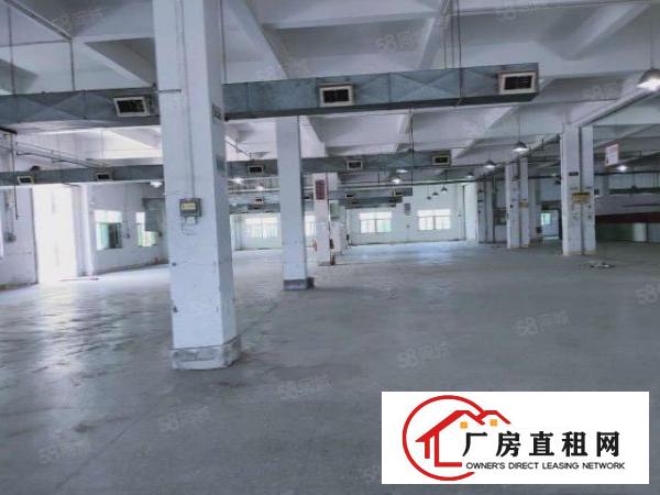  一楼15块三天必租大朗黄草朗新出原房东1650平厂房实际面积