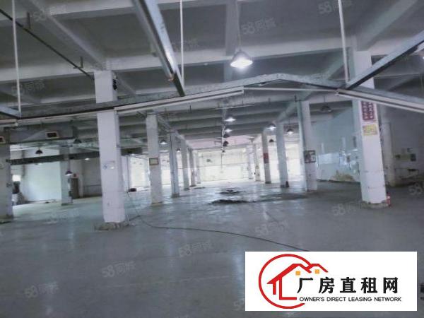  一楼15块三天必租大朗黄草朗新出原房东1650平厂房实际面积