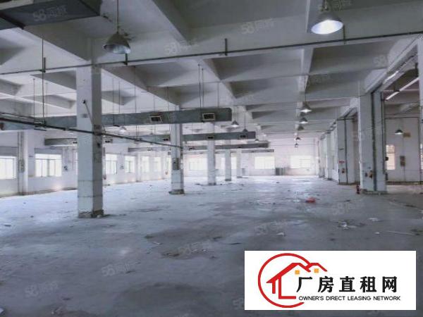  一楼15块三天必租大朗黄草朗新出原房东1650平厂房实际面积