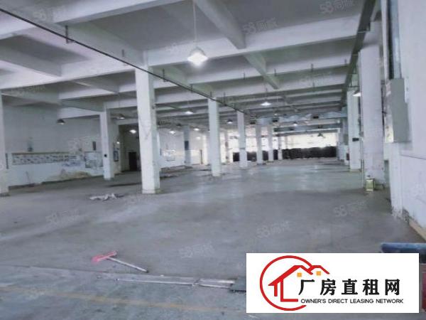 一楼15块三天必租大朗黄草朗新出原房东1650平厂房实际面积