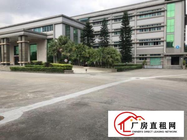  大朗松柏朗超靓标准厂房二楼2500平低价出租形象好大气