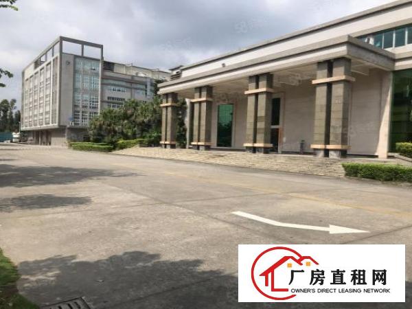  大朗松柏朗超靓标准厂房二楼2500平低价出租形象好大气
