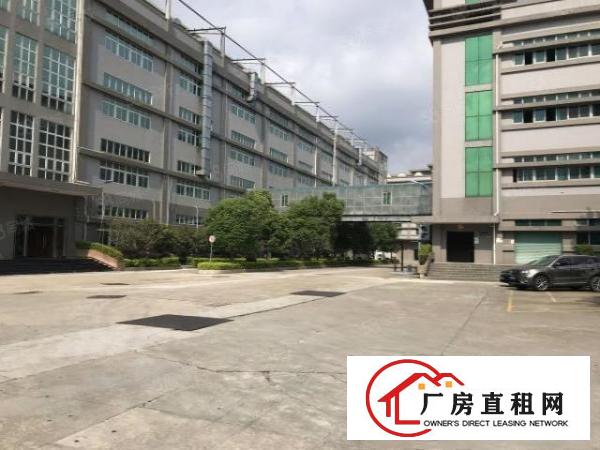  大朗松柏朗超靓标准厂房二楼2500平低价出租形象好大气
