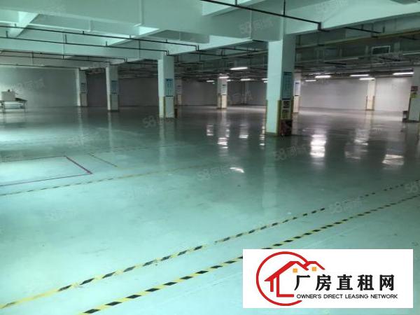  大朗松柏朗超靓标准厂房二楼2500平低价出租形象好大气