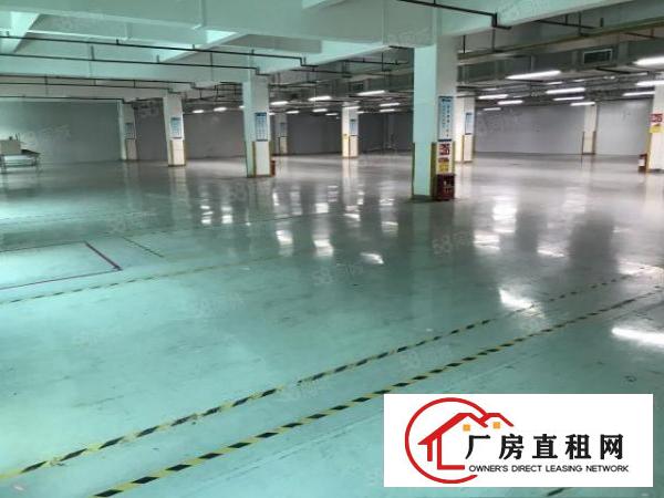  大朗松柏朗超靓标准厂房二楼2500平低价出租形象好大气